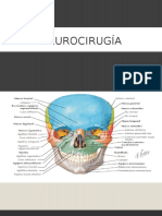 Neurocirugia, Neuroanatomia