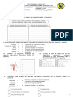 Actividad-Taller N°1