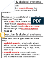 Muscle and Bone Notes