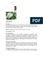 Vademecum Colombiano de Plantas Medicinales 2008