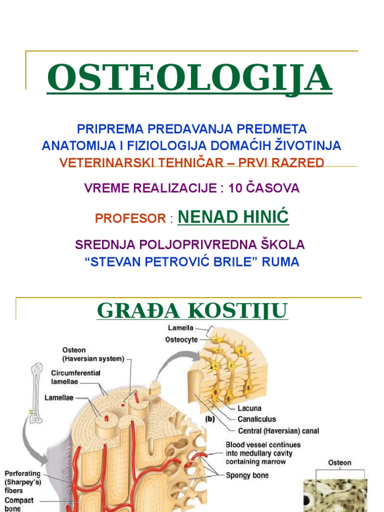 OSTEOLOGIJA | PDF