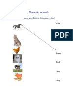 Domestic Animals