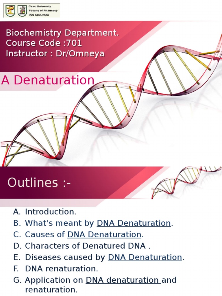 DNA Denaturation and Renaturation Overview | PDF | Denaturation ...
