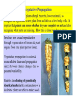 Vegetative Propagation: Identical Material & Continuation of A