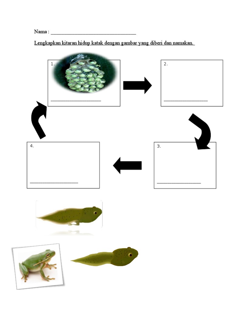 Lembaran Kerja Pdf