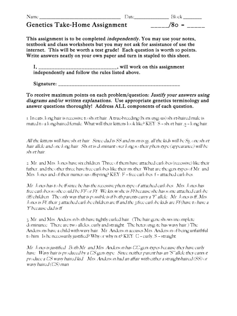 Worksheets Punnett Square Practice Worksheet collection of punnett square practice worksheet answers sharebrowse sharebrowse