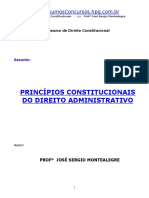 Principios_Constitucionais_DAdministrativo