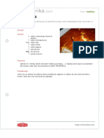 Brza Proja PDF