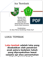 Luka Tembak