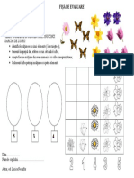  Fisa de Lucru Matematica