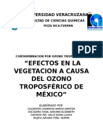 Efectos Negativos en La Vegetacion Por Ozono