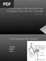 Complexo Articular Do Cotovelo14!01!10