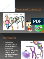 Gen Dan Kromosom