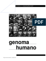 Estructura Y Complejidad Del Genoma Humano