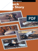 03 Duck Stamp Story