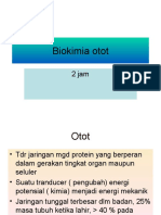 Biokimia Otot