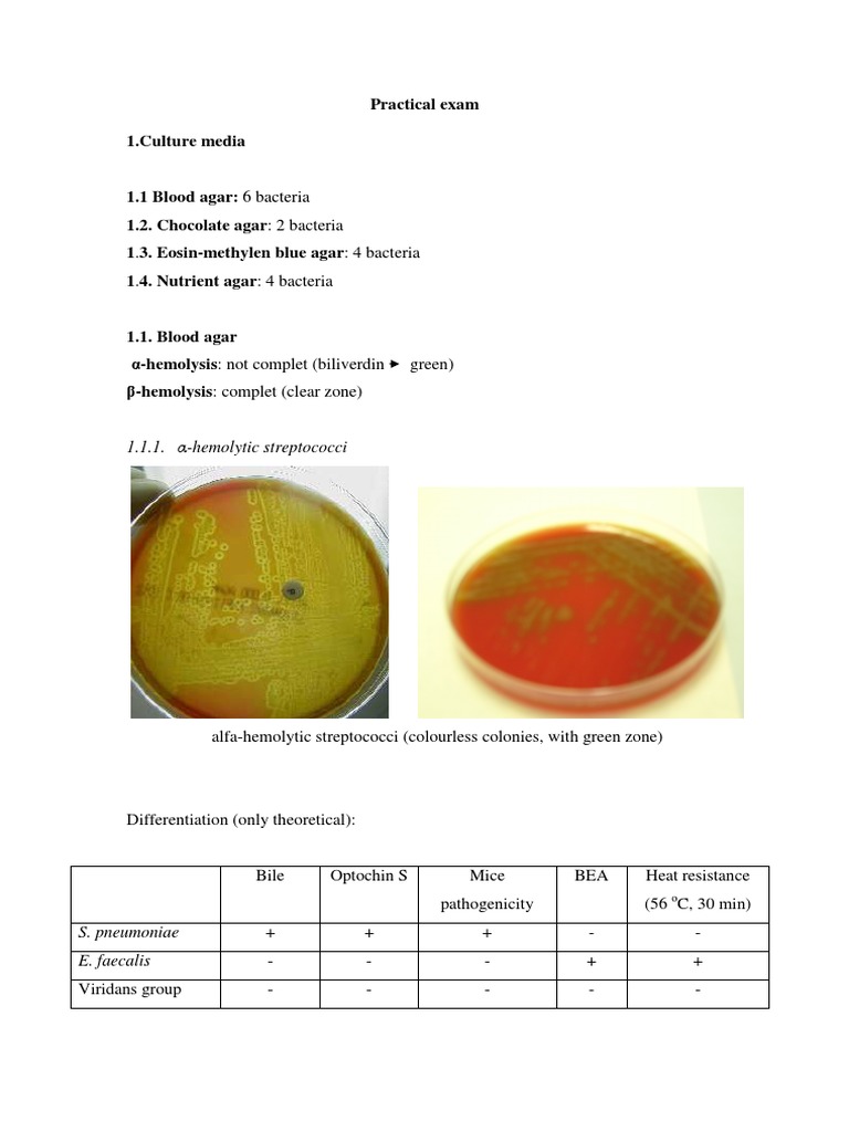 Microbiology Practical Exam notes Streptococcus Public Health