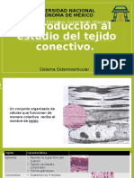 Introducción Al Estudio Del Tejido Conectivo