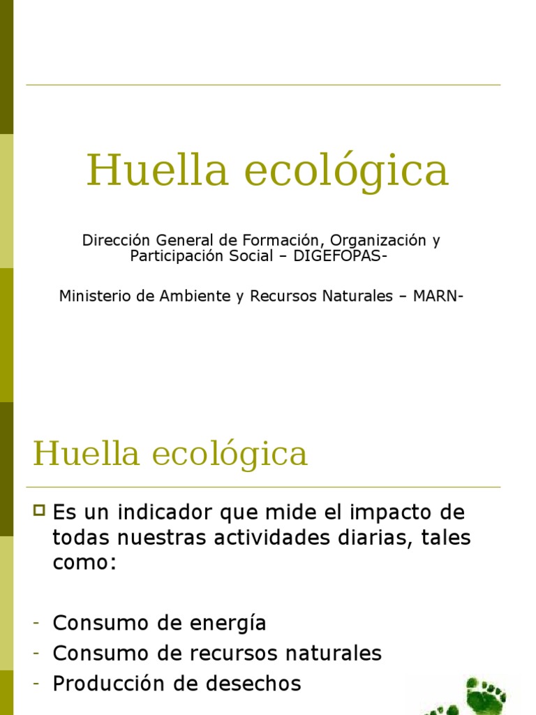 Cómo Reducir Tu Huella Ecológica | PDF | Residuos | Ecología