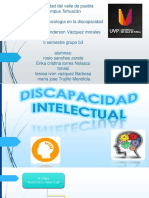Discapacidad Intelectual PDF