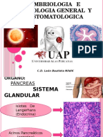 2da practica histologia.pptx