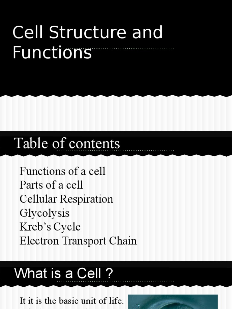 Cell Structure and Functions | PDF | Cell (Biology) | Cell Membrane
