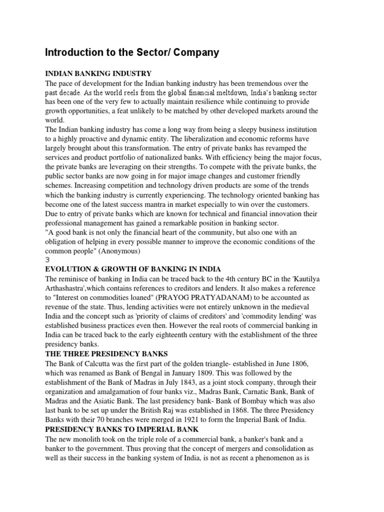 Overview of the Indian Banking Sector | PDF | Reserve Bank Of India | Banks