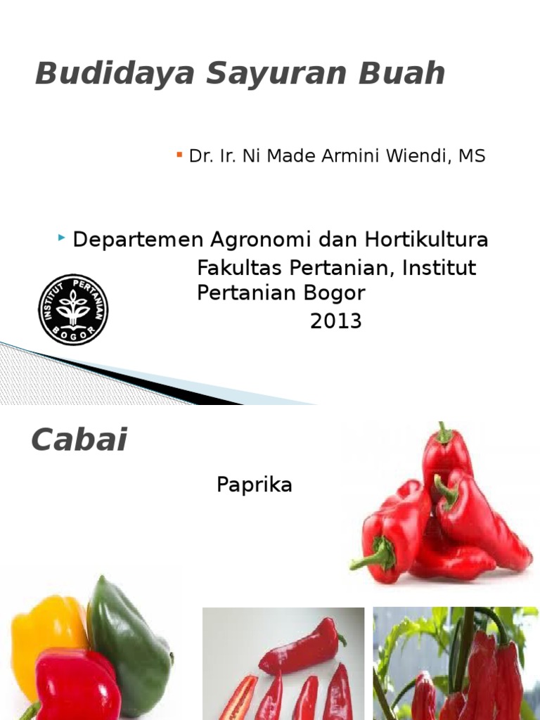 Budidaya  Sayuran  Buah  Budidaya  Sayuran  Buah