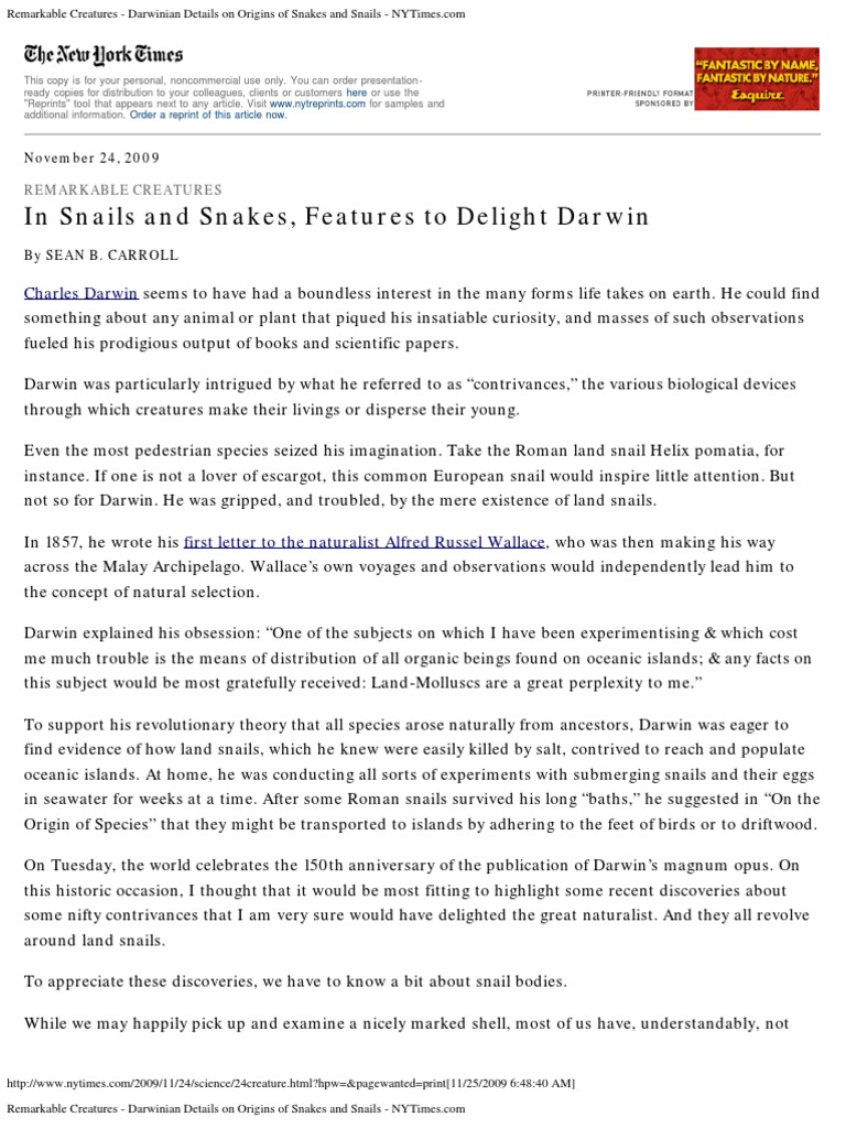 Remarkable Creatures Darwinian Details On Origins Of Snakes And