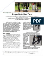 Proper Basic Hoof Care: Equine and Small Acreage Programs