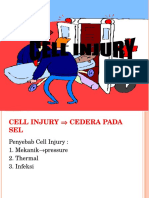 00cell Injury
