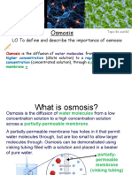 Osmosis PPT 2