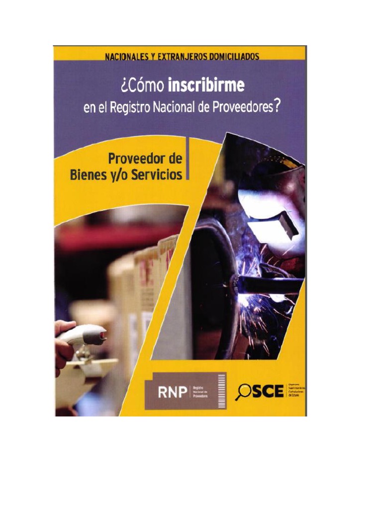 Manual Inscripcion de RNP | PDF