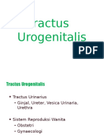 Tractus Urogenitalis DR Sani