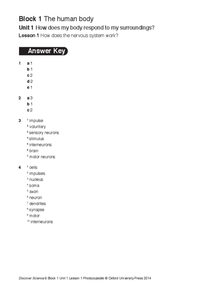 Answer Key: Block 1 The Human Body | PDF