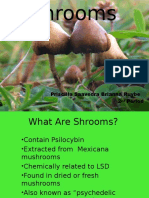 Shrooms Powerpoint 1