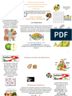 Modulo Instruccional Que Ocultan Nuestros Alimentos