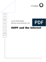 OSPF and The Internet: Lucent Technologies Remote Access Business Unit