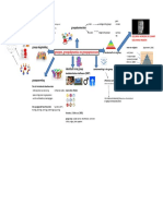 Mindmap Groepen Groepsdynamica en Groepsprocessen