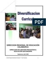 Diversificacion20curricular202006 1232260058672226 3