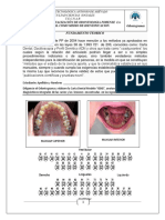 Taller No.3 Odontogramas,( Favor Imprimir Solo La Pagina Asignada (1))