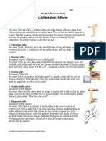 Lab Worksheet: Reflexes: 1. Knee-Jerk or Patellar Reflex