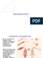 Sistema Oseo - Basico