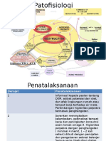 Patofisiologi DKM