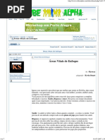 Mystery -  Areas vitais de enfoque.pdf