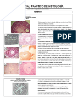 Guía Parcial Práctico de Histología Femenino