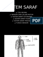 Sistem Saraf PP