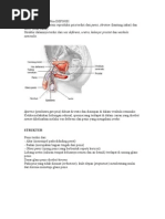 Download Sistem Reproduksi Pria DEFINISI by Anonymous RJVGKvxLt SN30056987 doc pdf