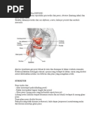 Sistem Reproduksi Pria DEFINISI