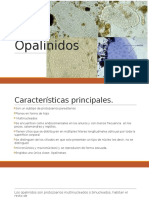 Opalinidos